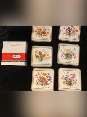 6 Pimpernel North American Wild Flowers Acrylic Coasters Cork Back